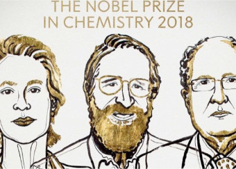 Premio Nobel per la chimica assegnato a Frances H. Arnold, George P. Smith e Sir Gregory P. Winter: il felice incontro tra la chimica e la biologia molecolare