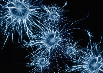 Al via il progetto europeo AiPBAND per la diagnosi precoce dei tumori cerebrali