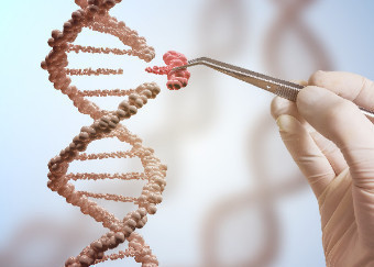 CRISPR, l’editing del genoma e la linea germinale: quali limiti?