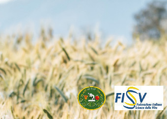 Il futuro dell’agricoltura italiana: più conoscenza per ettaro. Guarda la fotogallery.