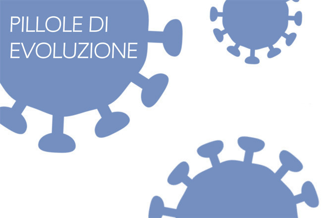 Contatti
