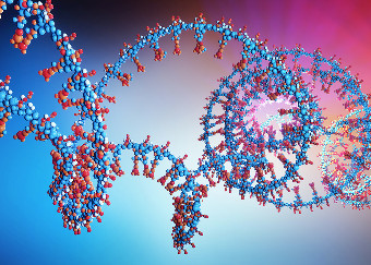 Premio Falaschi alla migliore pubblicazione nel campo della biologia molecolare degli acidi nucleici: al via le candidature