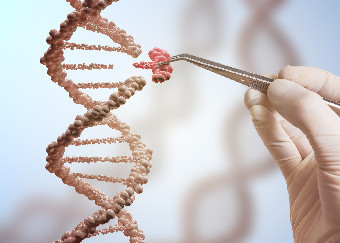 Nobel a CRISPR: «Fondamentale per l’innovazione nelle piante coltivate e in medicina nella terapia genica»