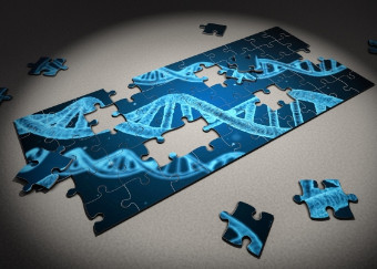 Pubblicato un importante studio di editing del genoma in cellule germinali mediante la tecnica CRISPR/Cas9