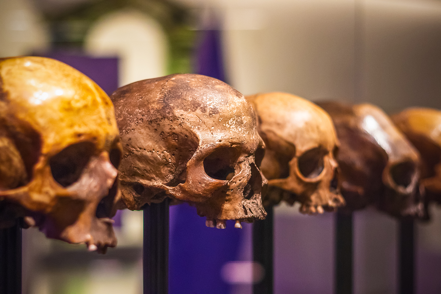 Antropologia, le risposte alle grandi e ataviche domande dell&rsquo;umanit&agrave;