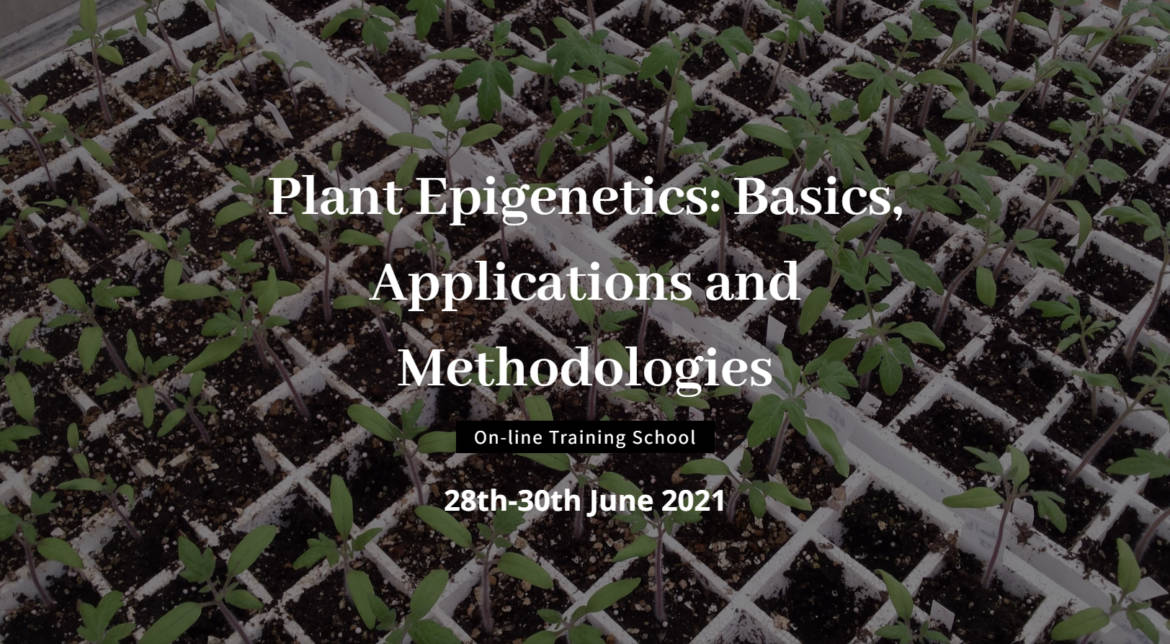 Plant Epigenetics: Basics, Applications and Methodologies. On-line training school