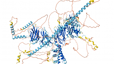 Predire la struttura 3D delle proteine e progettarne di nuove: un enorme successo dell’intelligenza artificiale