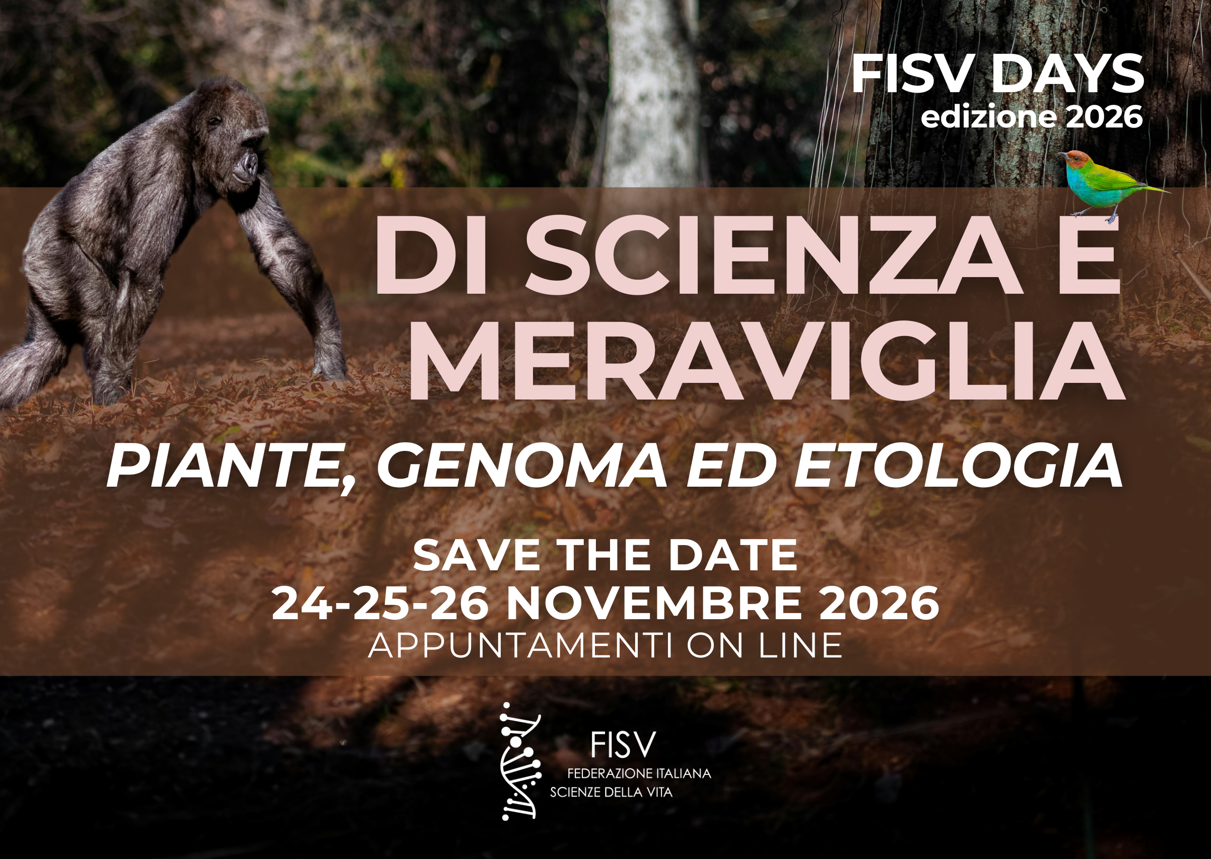 FISV Days 2026