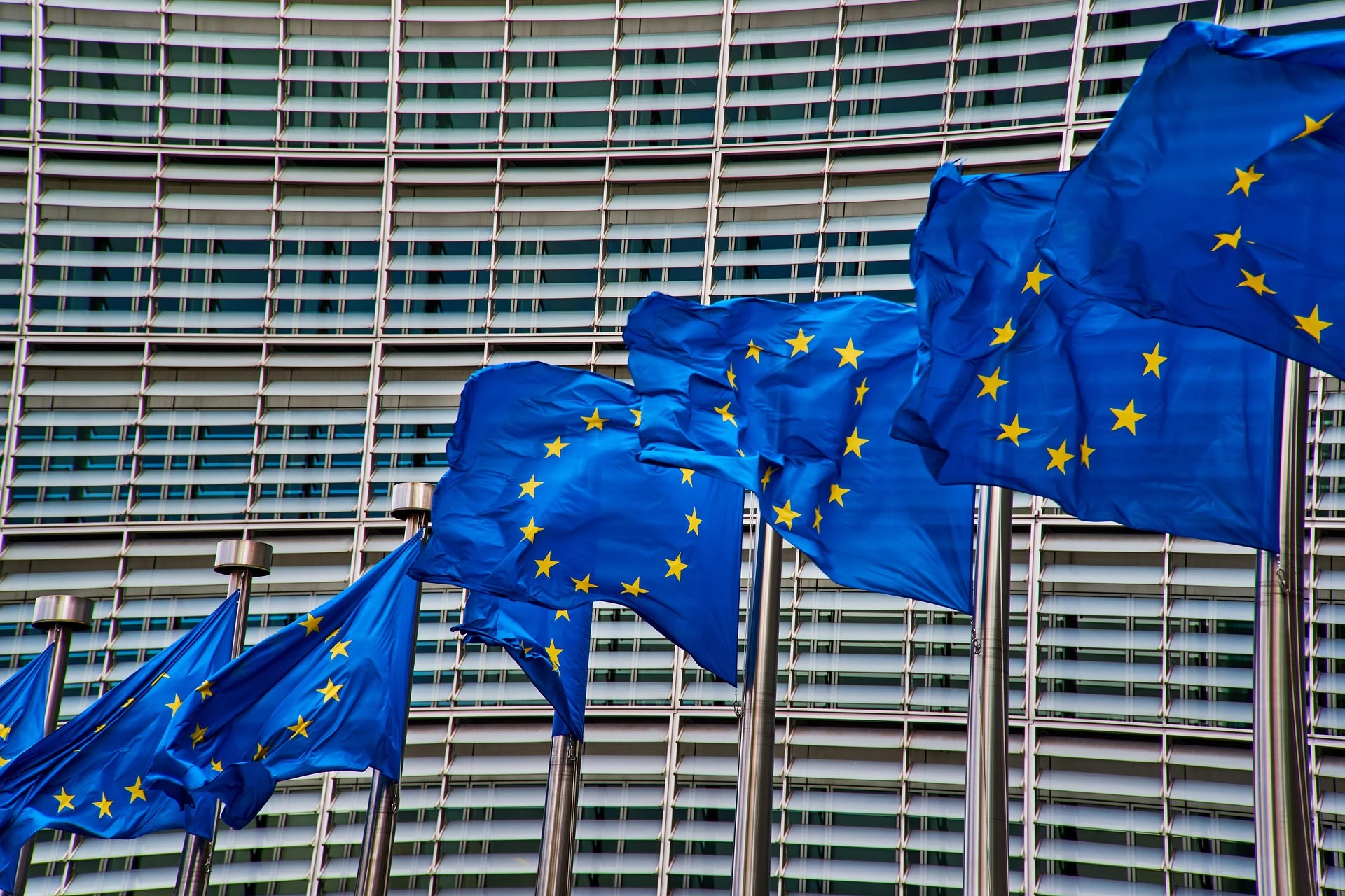 Programma europeo per la ricerca, FISV appoggia l’appello per difendere l’autonomia della scienza